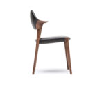 Curved Armrest Dining Chair - ShadowCraft